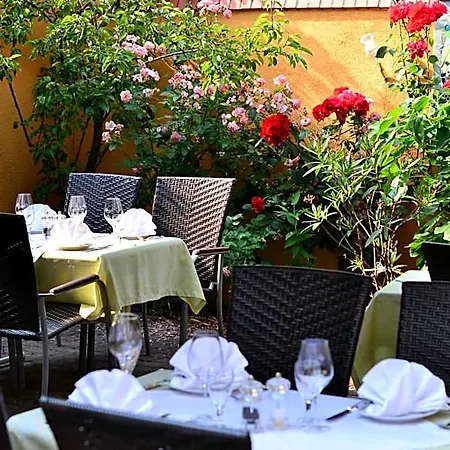 Restaurant & Olive * Greifswald